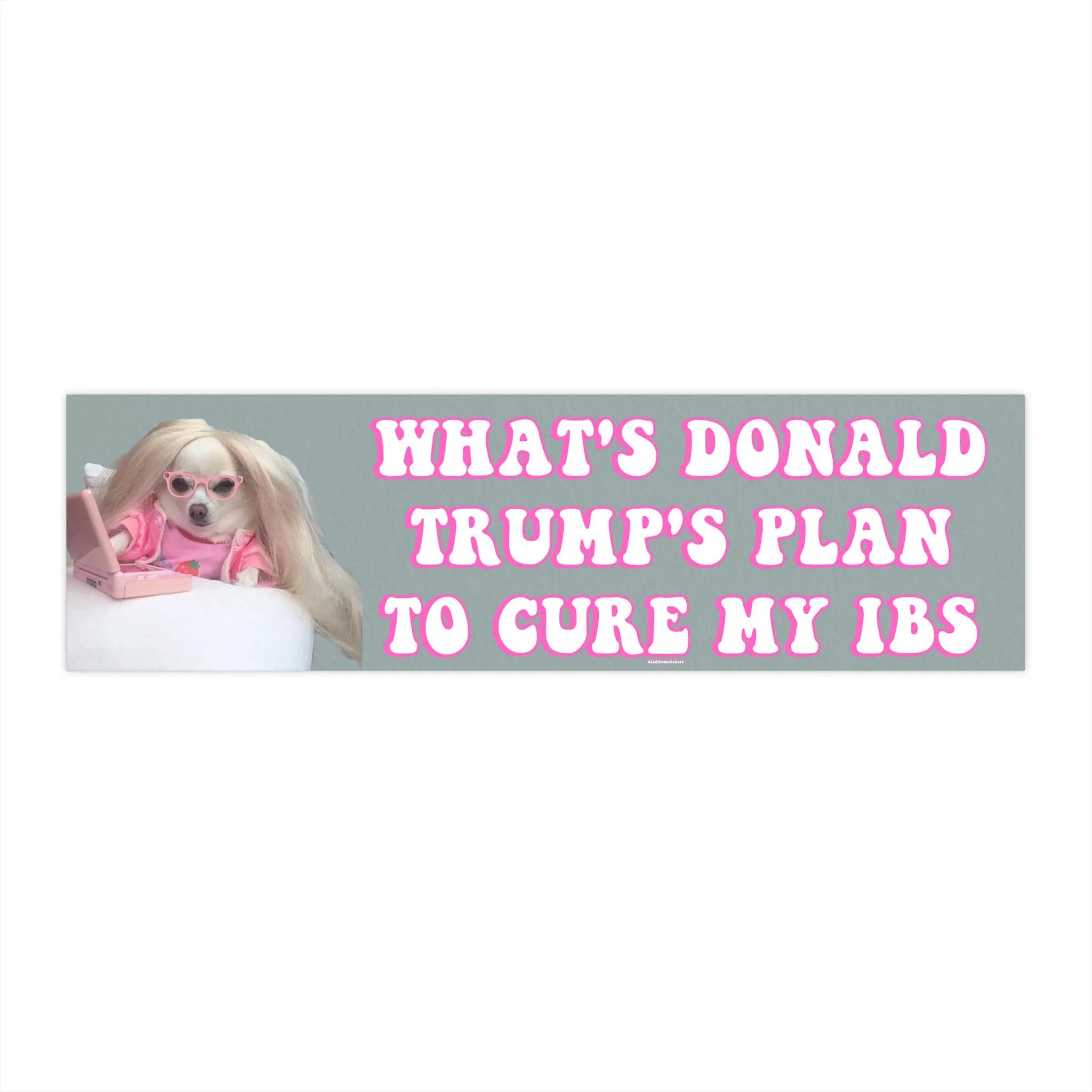 What's Donald Trump's Plan to Cure my IBS | Bumper Sticker AND Magnet | Funny Meme Sticker | 8.7'' X 2.7'' | Waterproof Quality