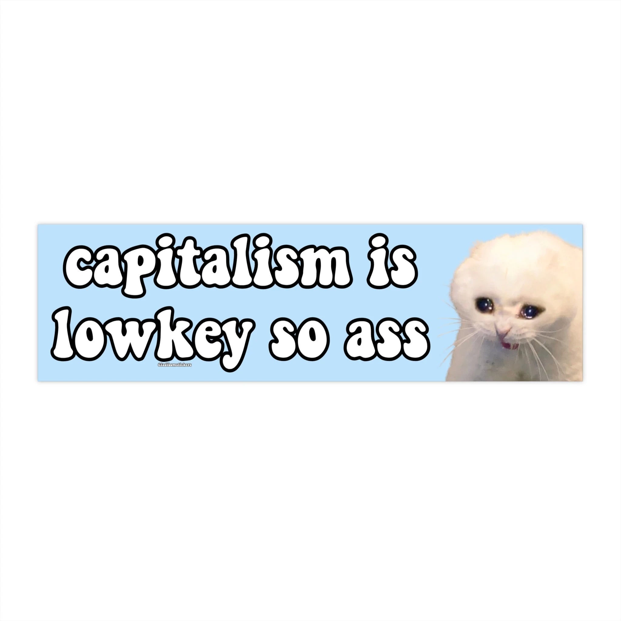Capitalism is Lowkey So Ass | Bumper Sticker AND Magnet | Funny Meme Sticker | 8.7'' X 2.7'' | Waterproof Premium Quality